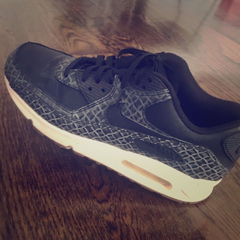 Nike Air Max